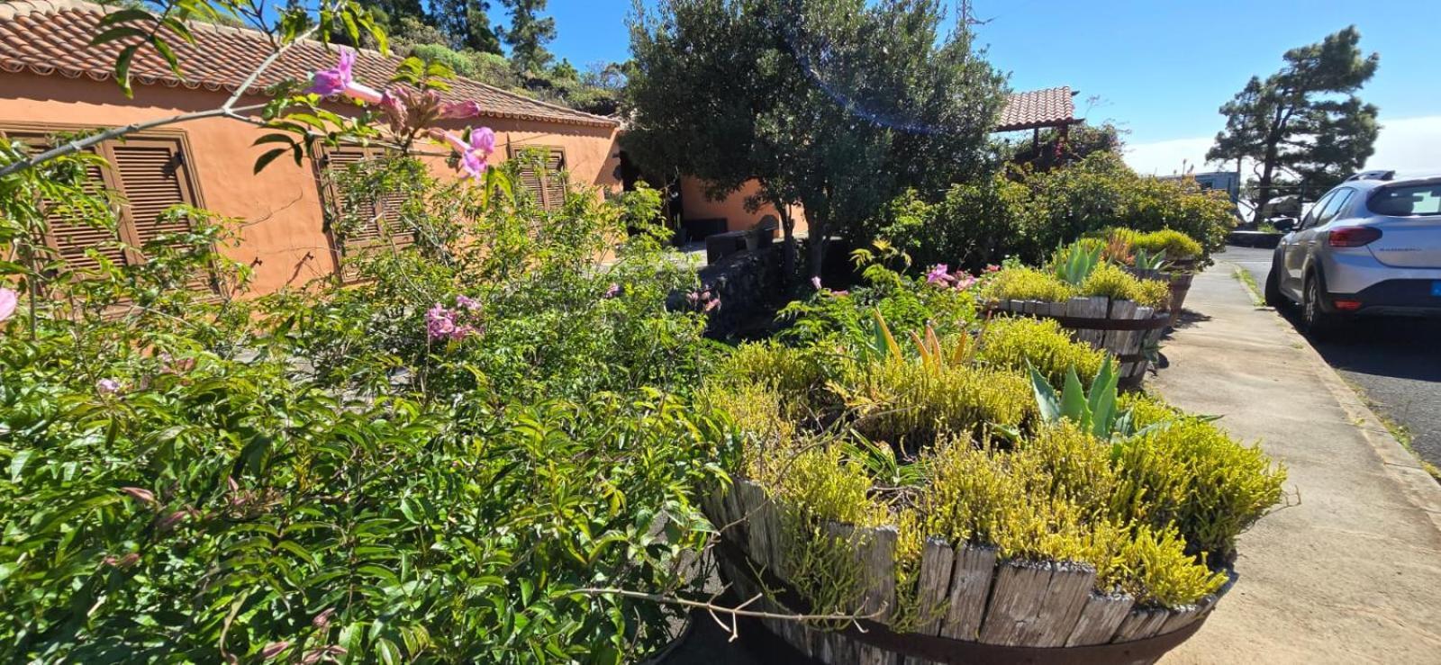 Vivienda Vacacional El Lagar, Bodega A فوينكالينتي دي لا بالما المظهر الخارجي الصورة